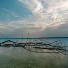 Der Ast im Ammersee - mit Youtube Tutorial