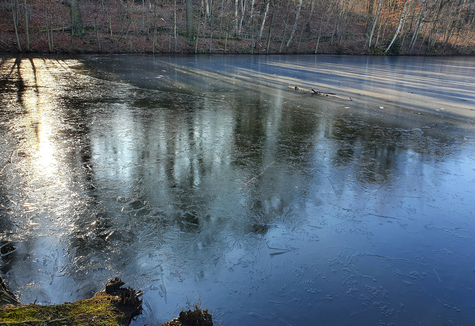 Der Ast im Teich**