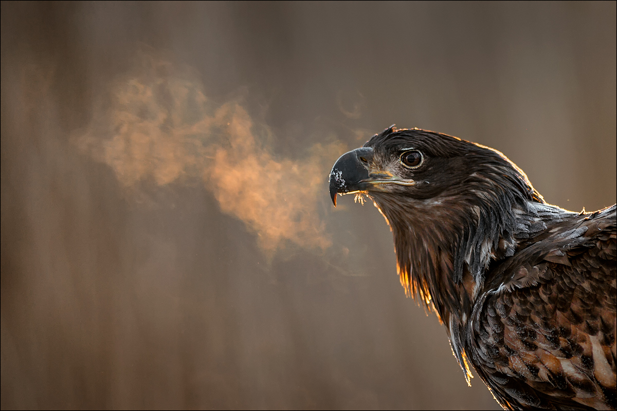 der Atem Foto & Bild wasser, januar, februar Bilder auf