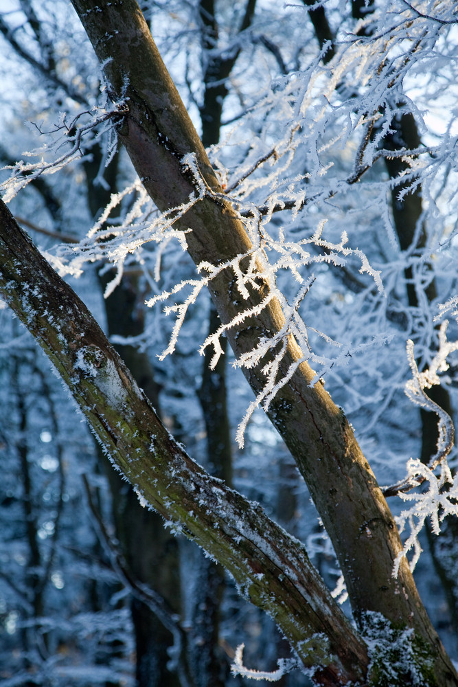 der Atem der Schneekönigin