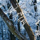 der Atem der Schneekönigin