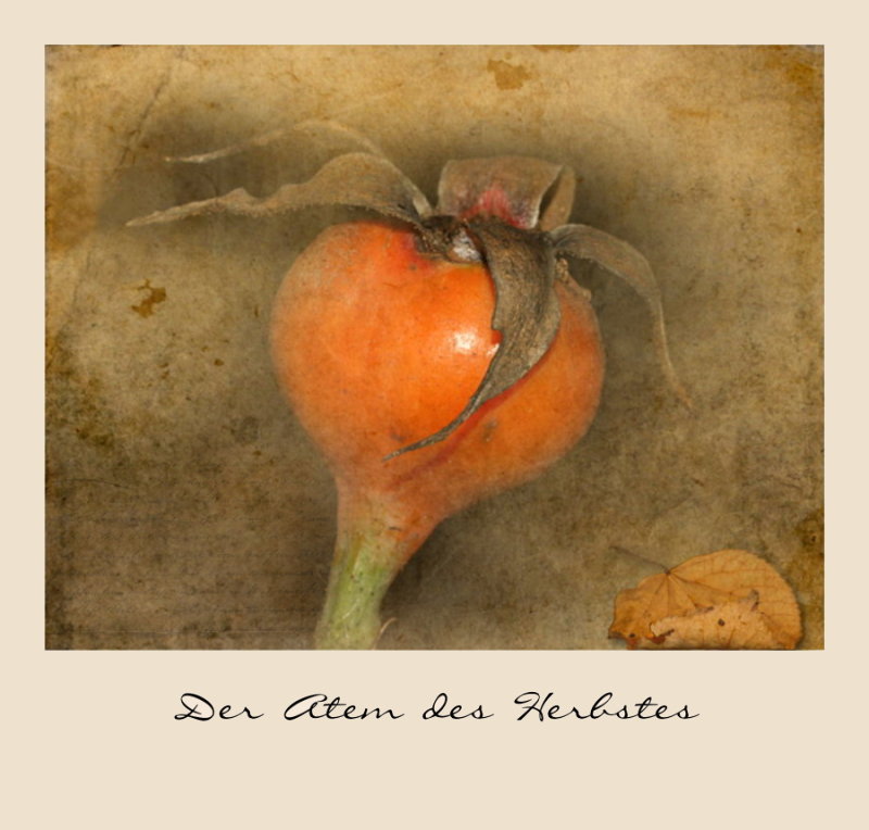 Der Atem des Herbstes_2