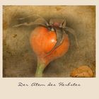 Der Atem des Herbstes_2