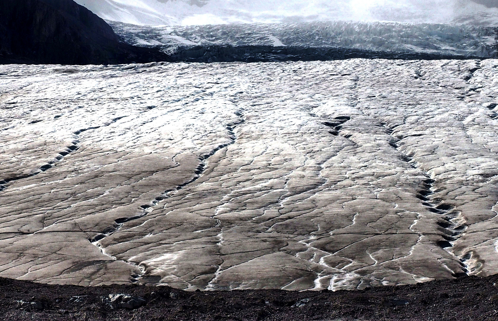 Der Athabasca Gletscher (3)