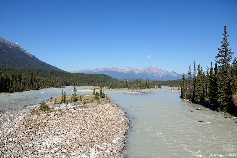 Der Athabasca River bei Jasper