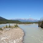Der Athabasca River bei Jasper
