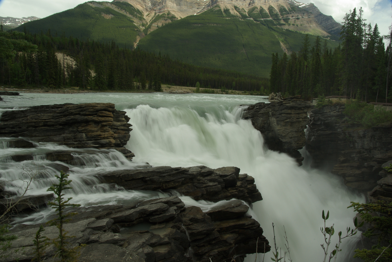 Der Athabaska Wasserfall