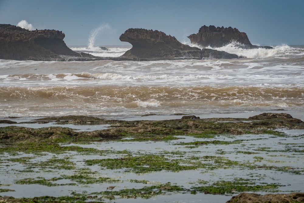 der Atlantik vor Essouira/Marokko