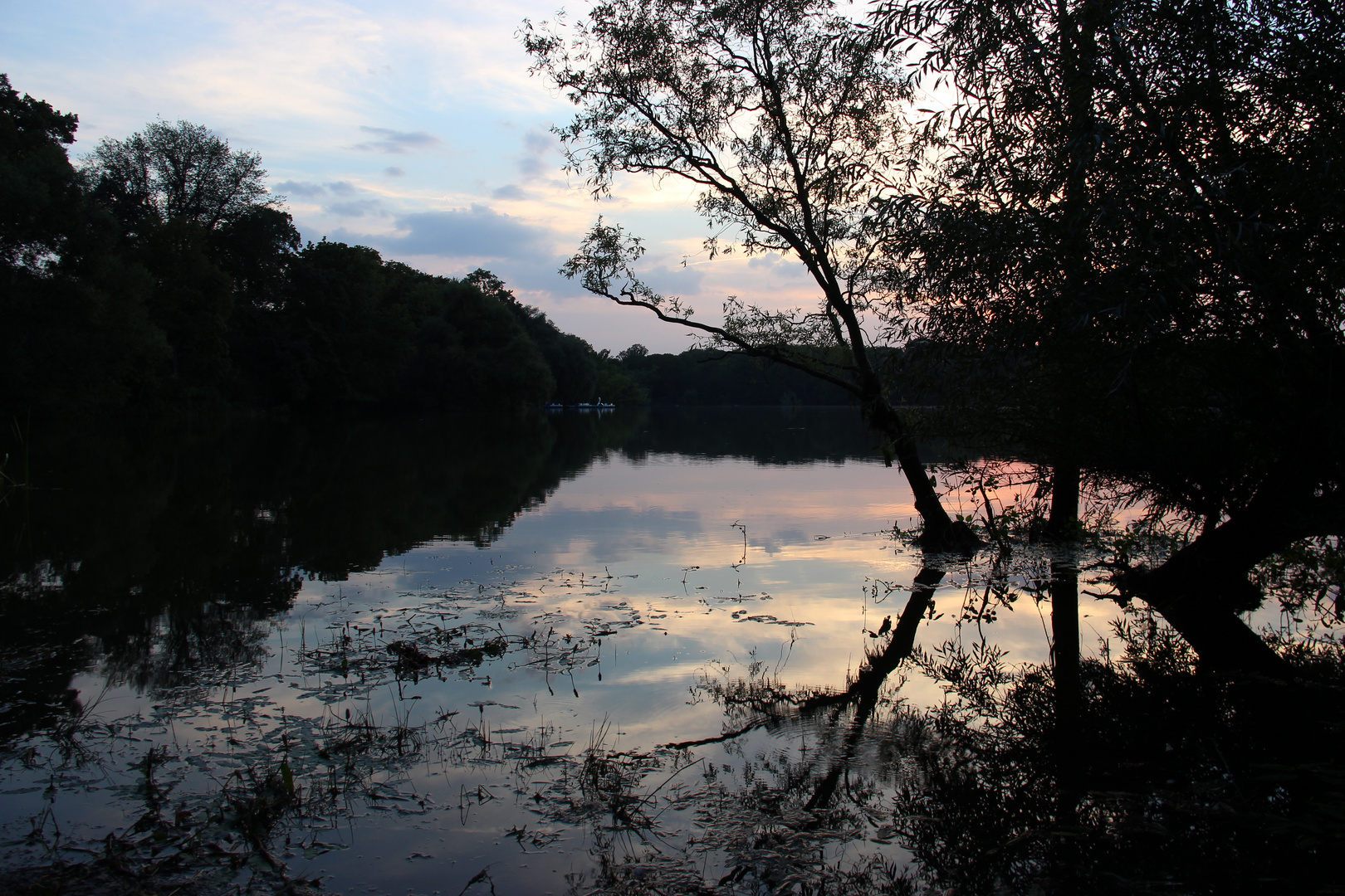 Der AUENSEE in Leipzig am Abend 1