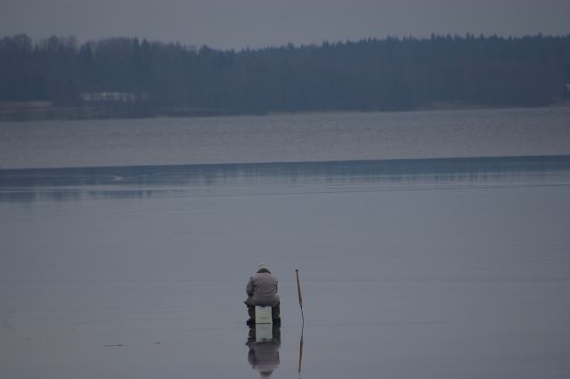 Der auf dem Wasser sitzt