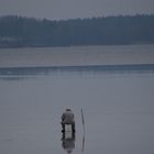 Der auf dem Wasser sitzt