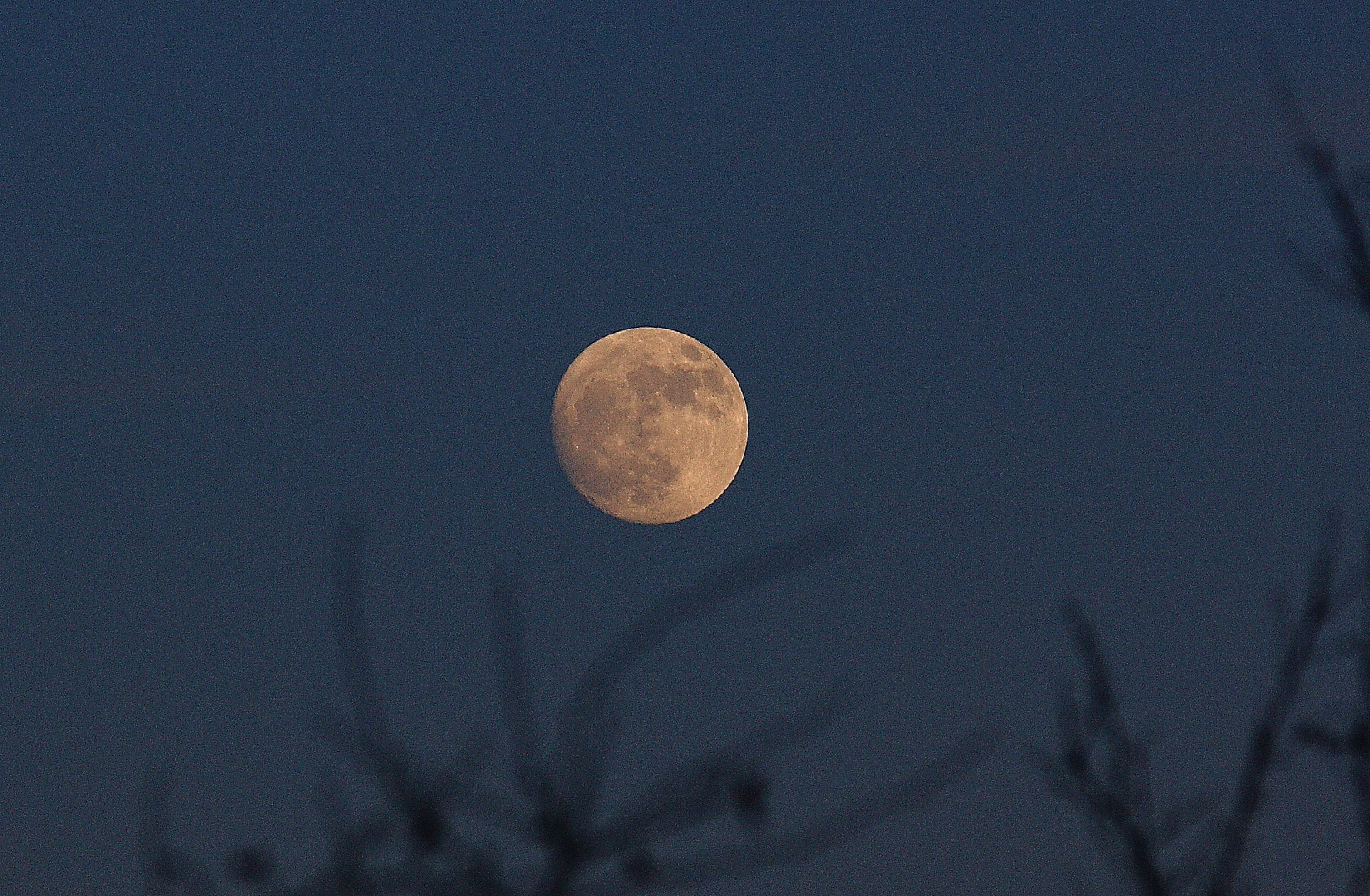 Der aufgehende Mond am 25.1.12