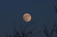 Der aufgehende Mond am 25.1.12