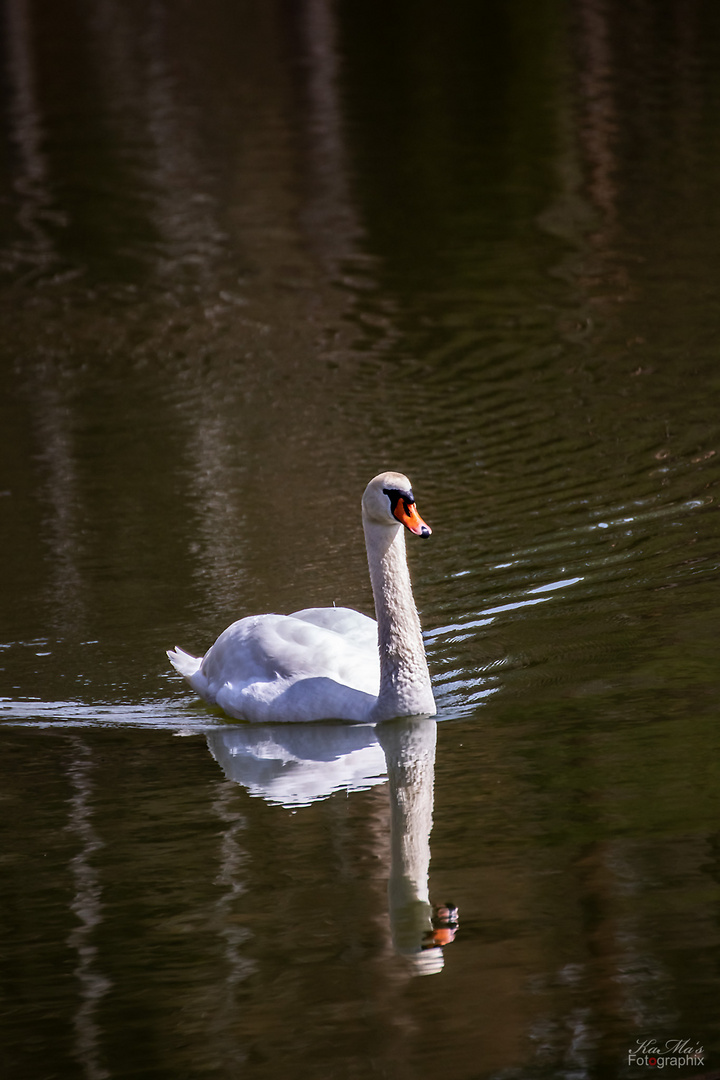 Der Aufpasser