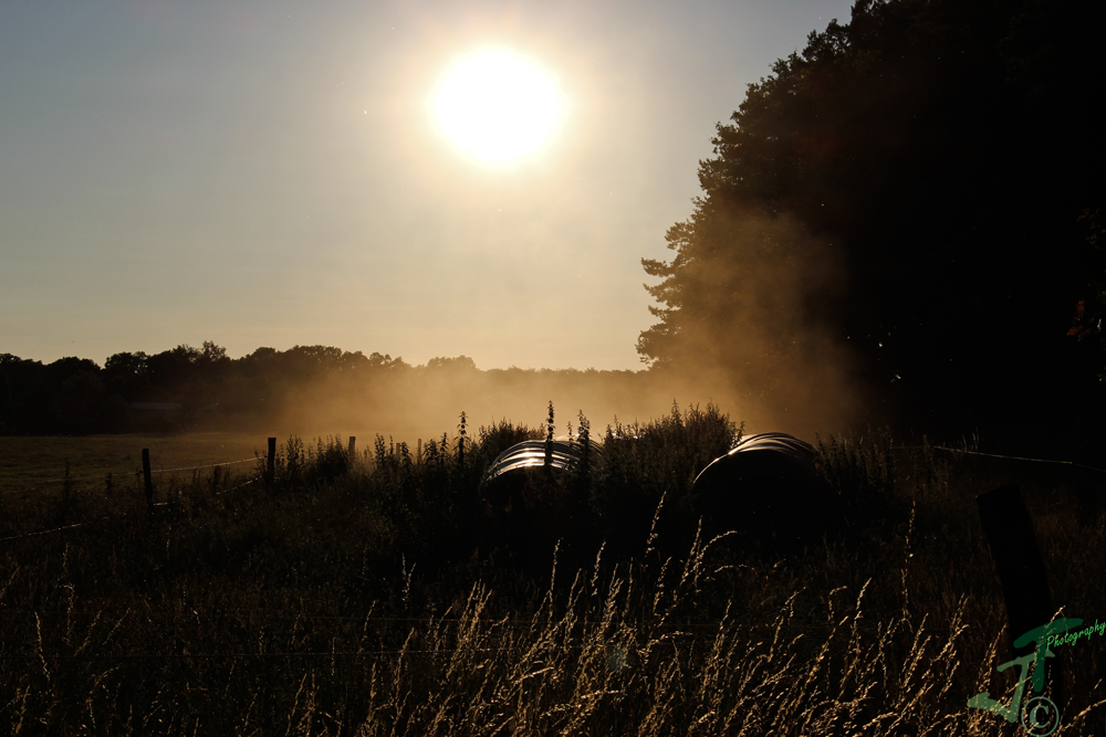 Der aufsteigende Sandnebel