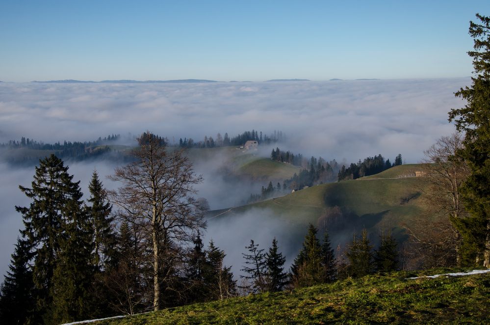 Der Aufstieg auf Ober Rafrüti wurde mit viel Sonnenschein reichlich belohnt