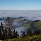 Der Aufstieg auf Ober Rafrüti wurde mit viel Sonnenschein reichlich belohnt