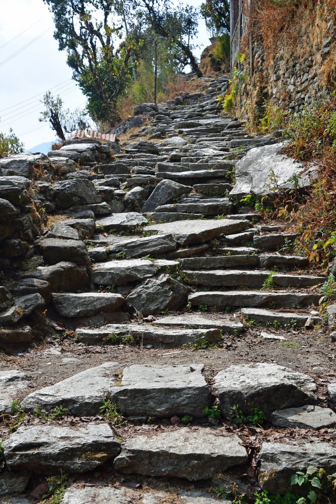 Der Aufstieg nach Ulleri im Annapurna-Gebiet auf dem Poon Hill Trek