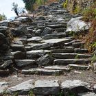 Der Aufstieg nach Ulleri im Annapurna-Gebiet auf dem Poon Hill Trek