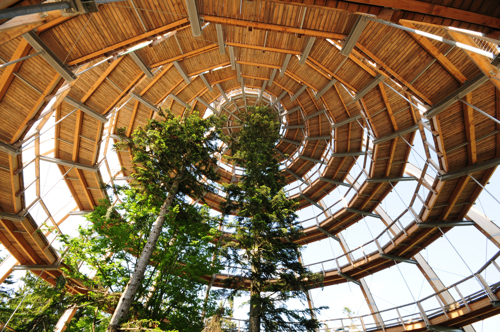 Der Aufstieg -Turm vom Baumwipfelpfad im Bayerischen Wald