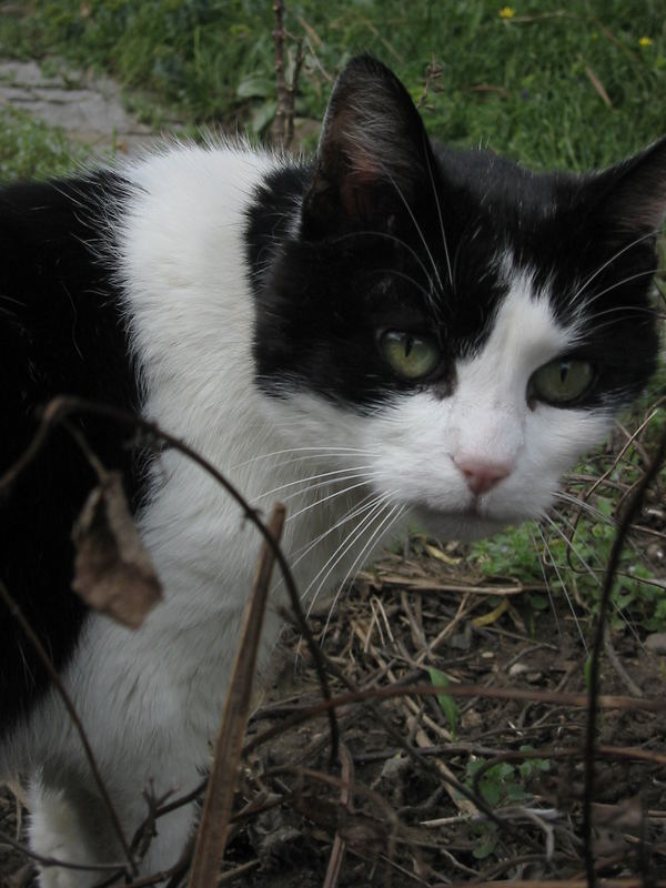 Der Augen-Blick