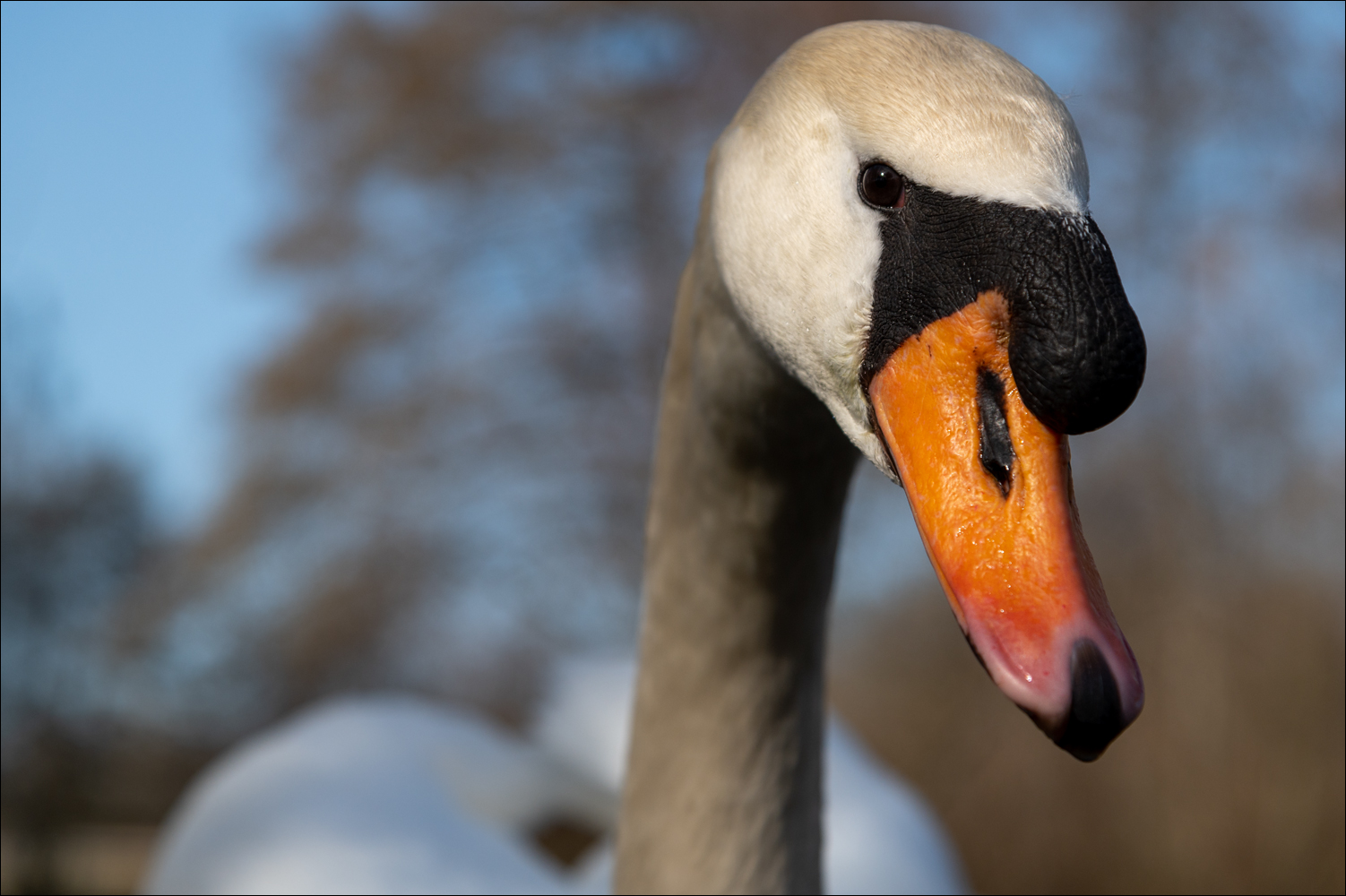 Der Augen-Blick