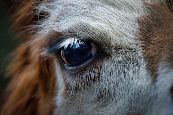 Der Augenblick......