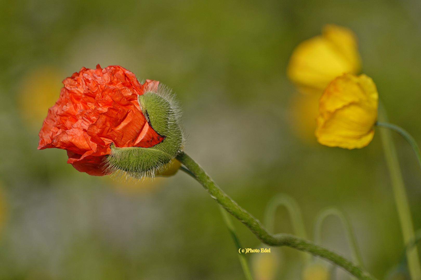 Der Augenblick