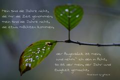 Der Augenblick ist mein