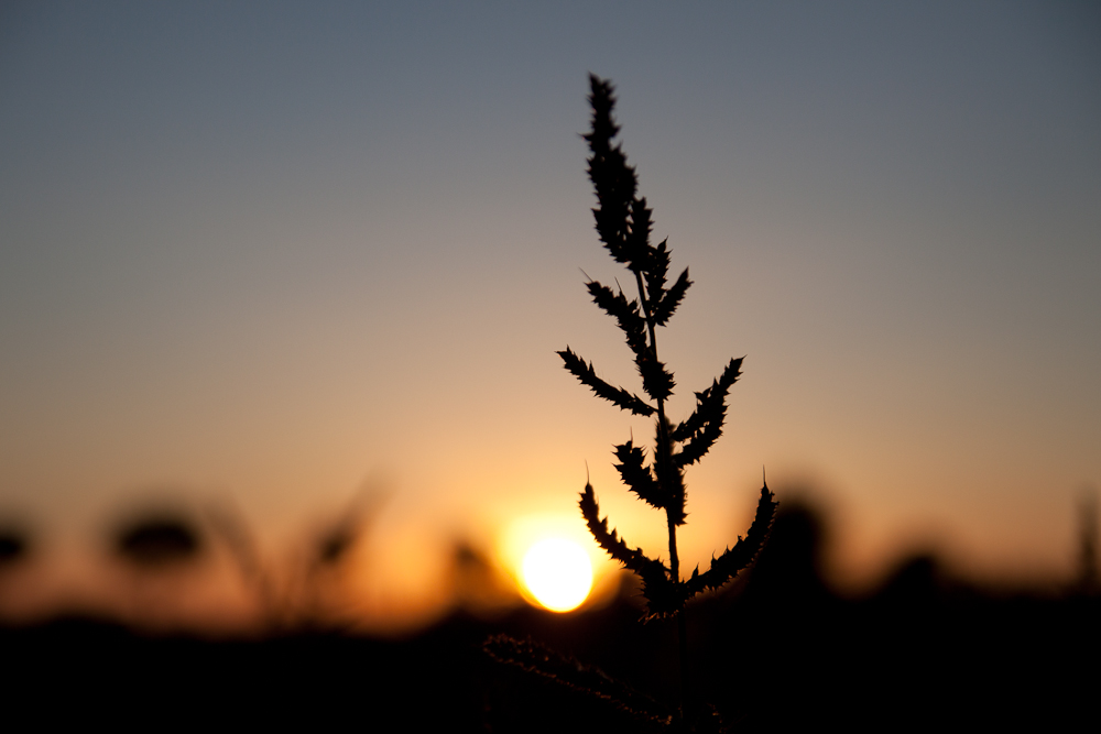 Der August ist zu Ende..