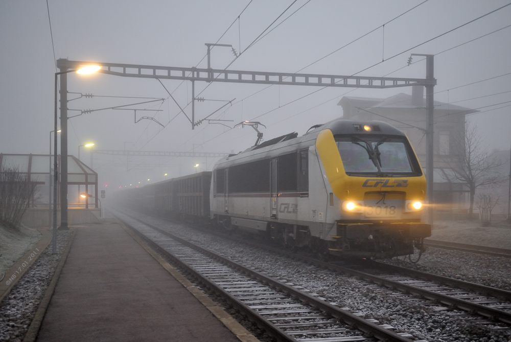 Der aus dem Nebel kam.... -2-