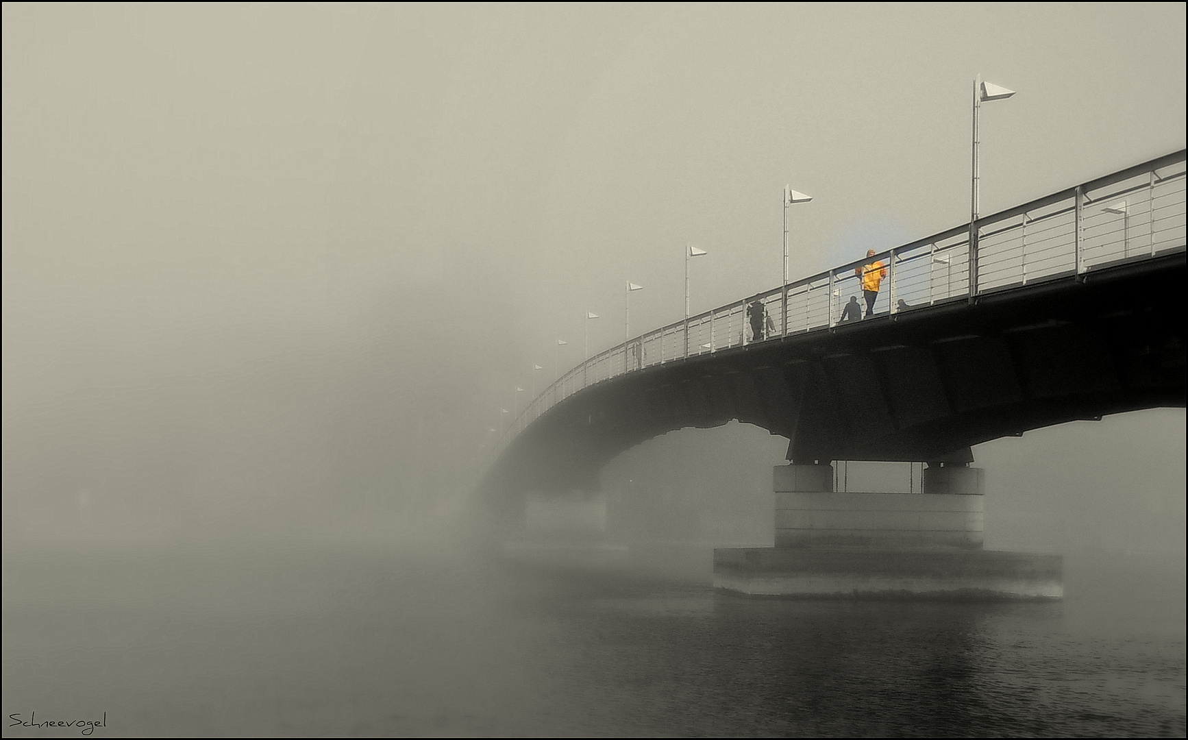 der aus dem Nebel kam