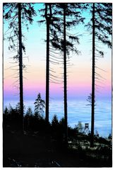 der Ausblick