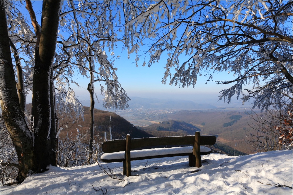 Der Ausblick