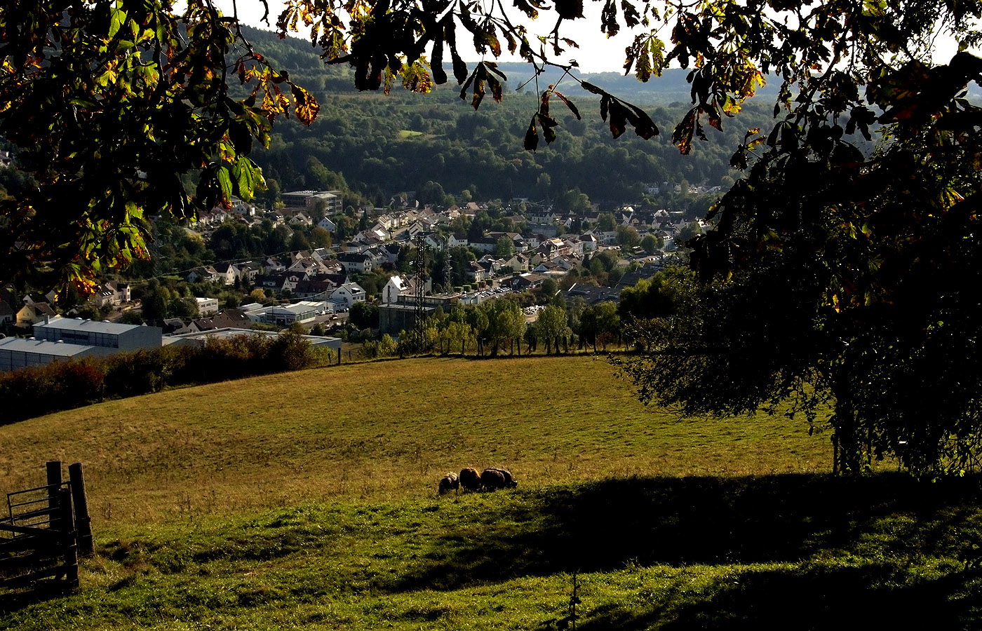 Der Ausblick auf das neue Jahr, ...