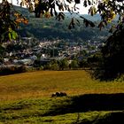 Der Ausblick auf das neue Jahr, ...