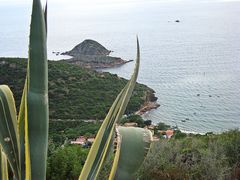 Der Ausblick einer Agave auf Elba