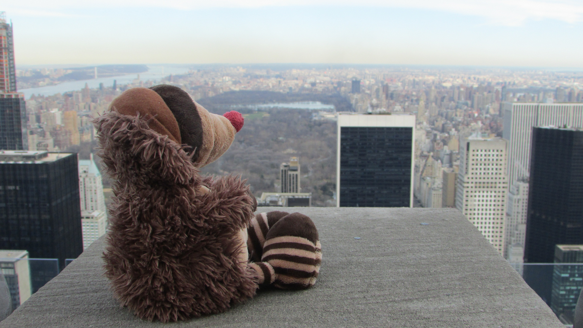 Der Ausblick vom Rockefeller Center hat mir auch gefallen, leider...