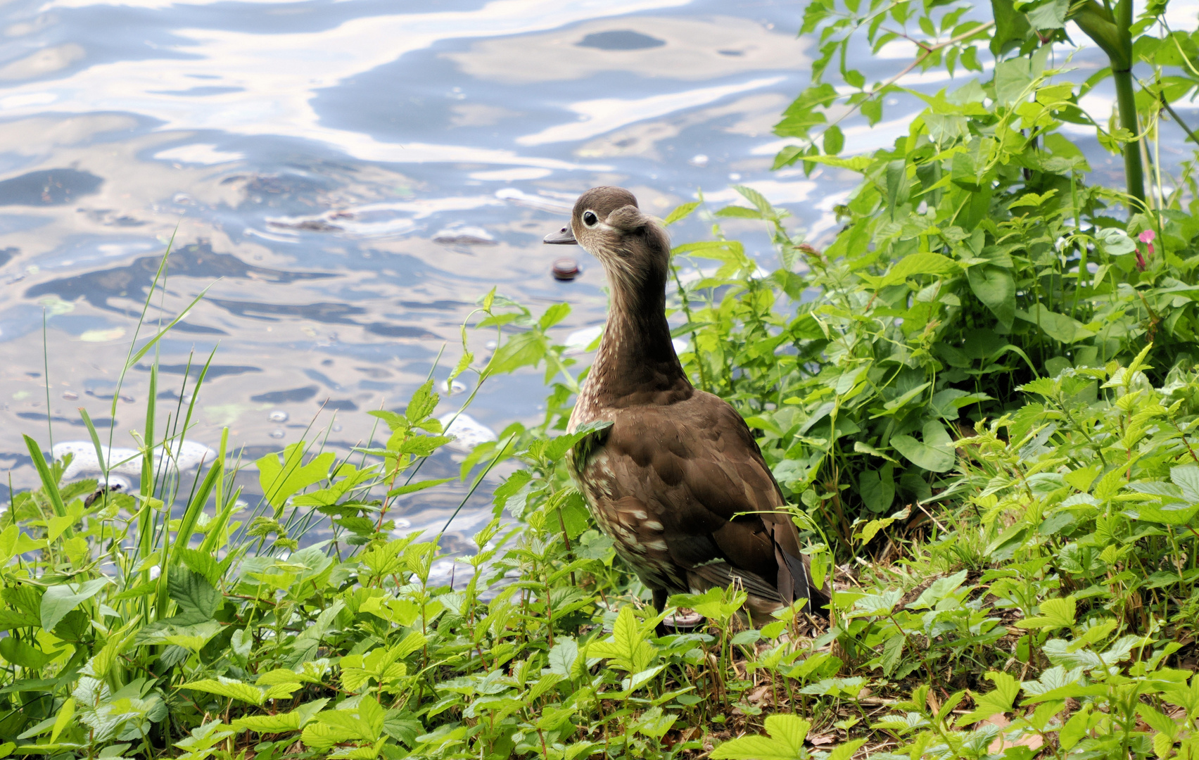 Der Ausblick…h