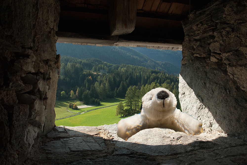 Der Ausbruch - kleiner Eisbär, was nun?