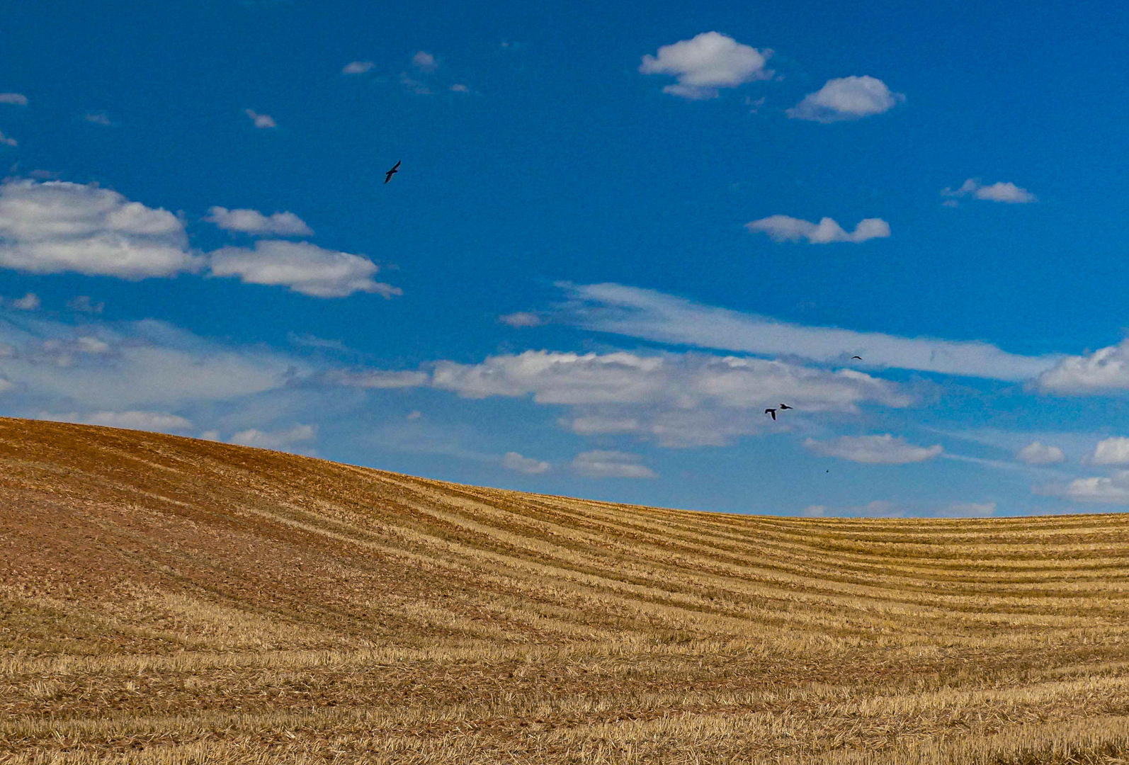 Der Ausflug