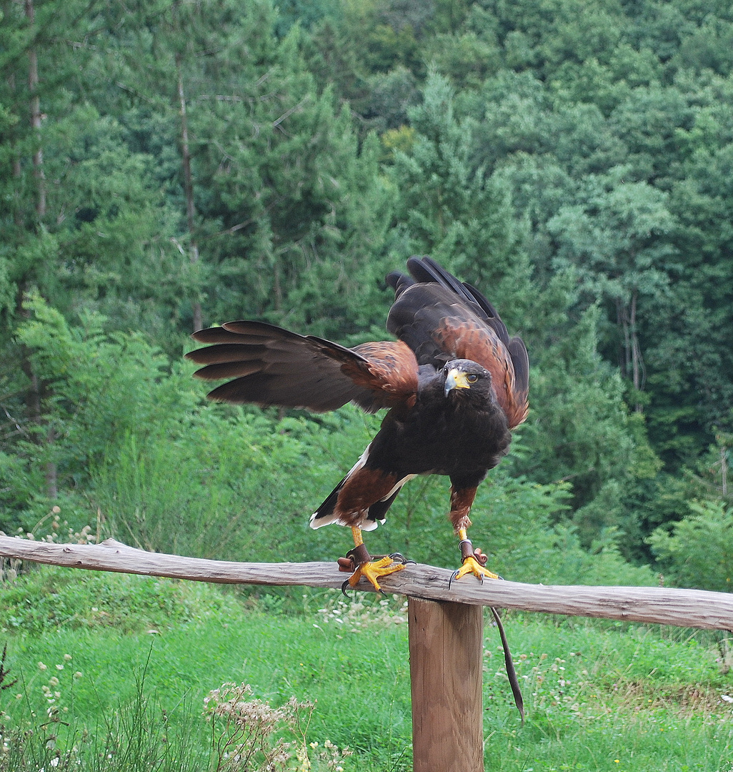 Der Ausflug (für uns beide)