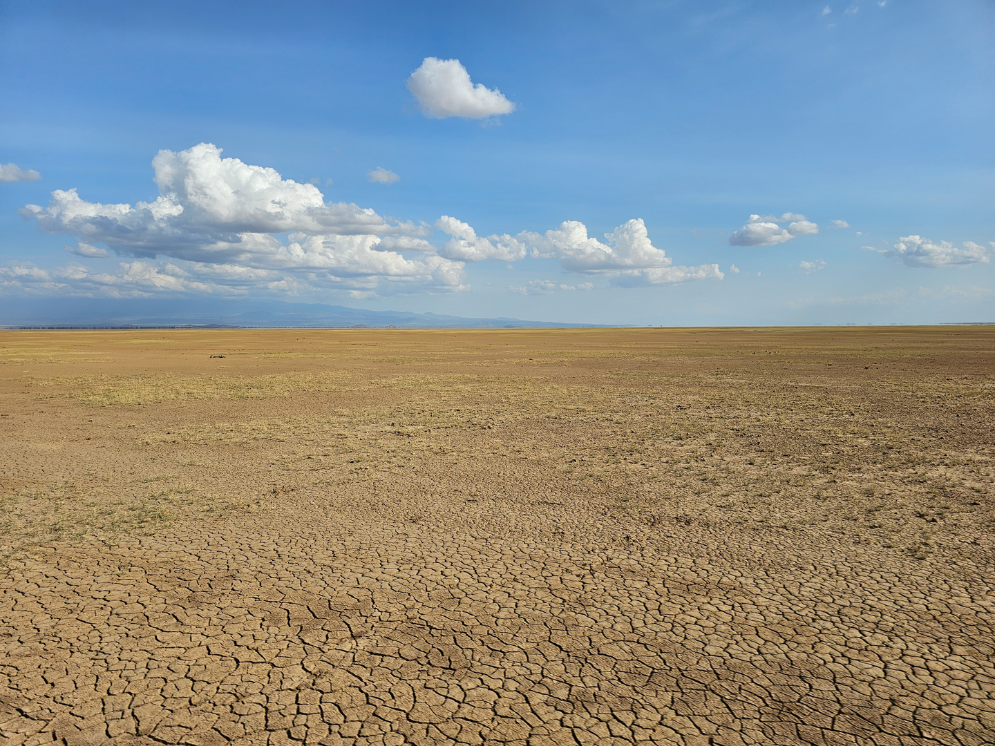 Der ausgetrocknete Amboseli-See