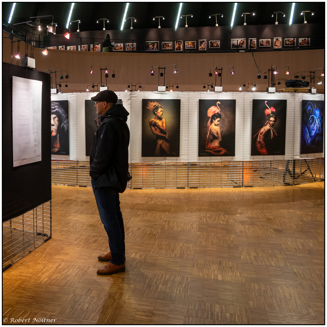 Der Ausstellungsbesucher