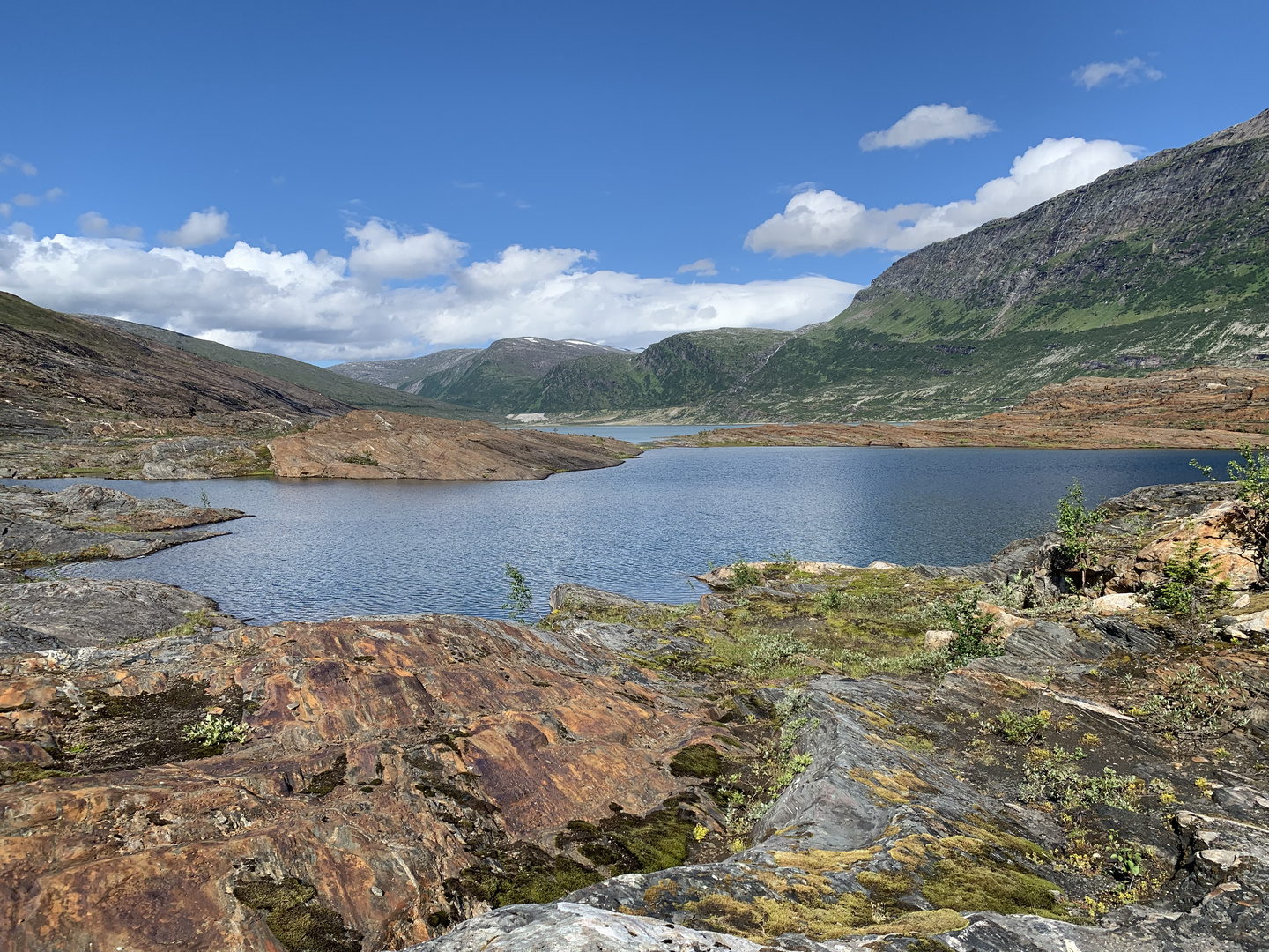 Der Austerdalsvatnet - Gletschersee des Svartisen-Gletschers