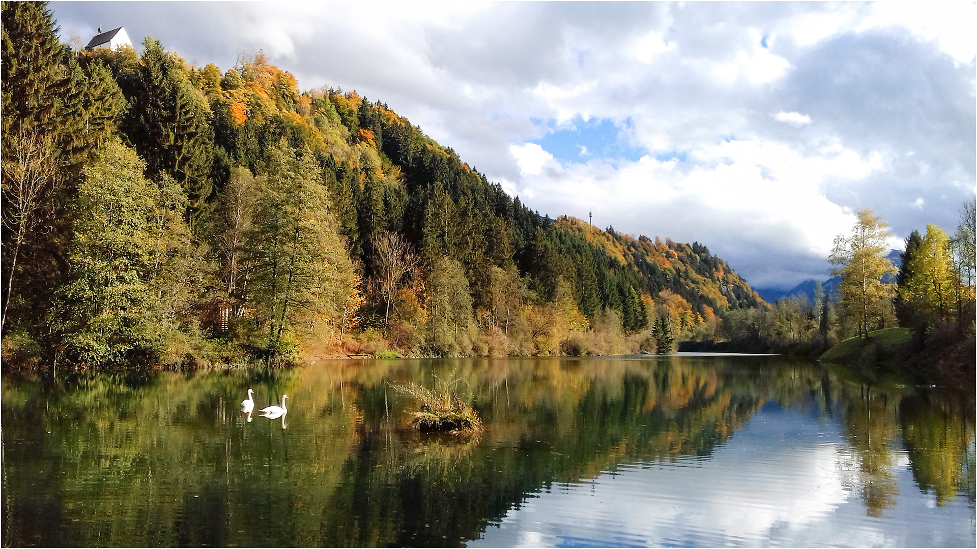 Der Auwaldsee ...