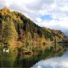 Der Auwaldsee ...