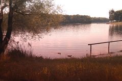 Der Auwaldsee durch die Sonnenbrille