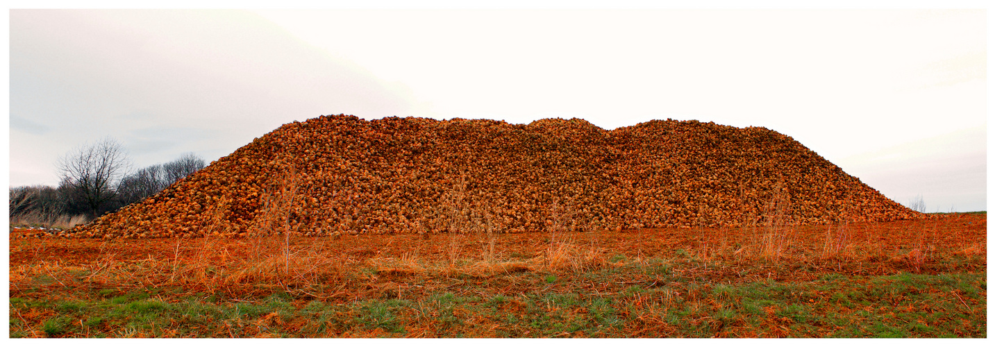 Der "Ayers Rock" von Kohren Sahlis.