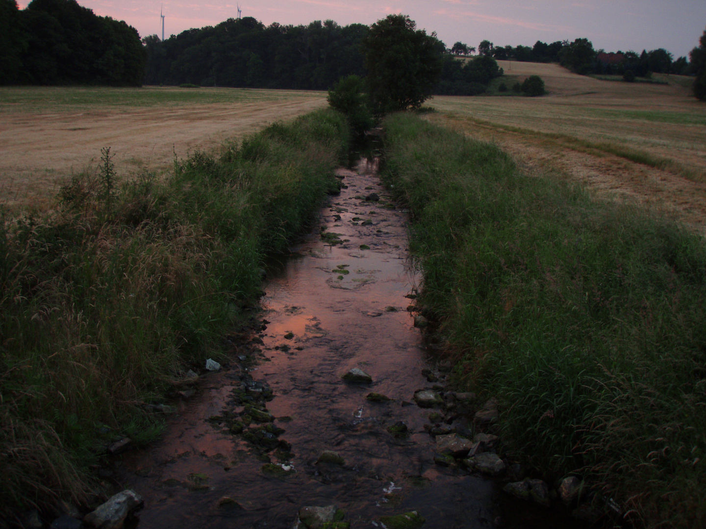 Der Baarbach im Sonnenuntergang